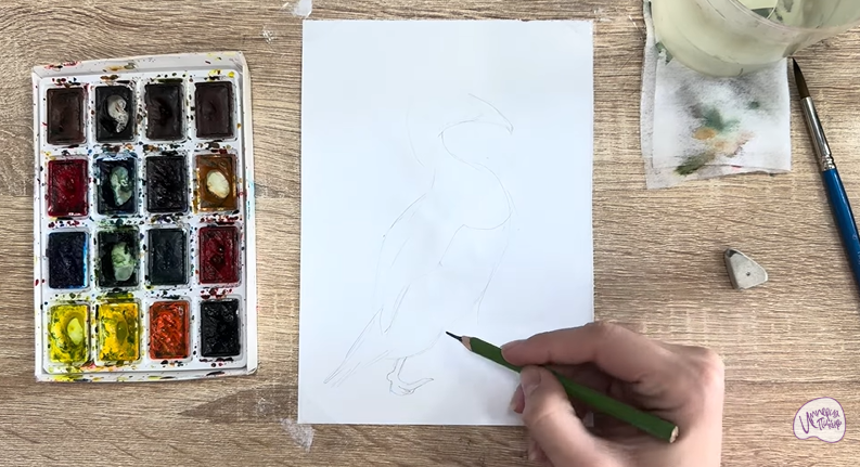 Рисуем Обыкновенная гага