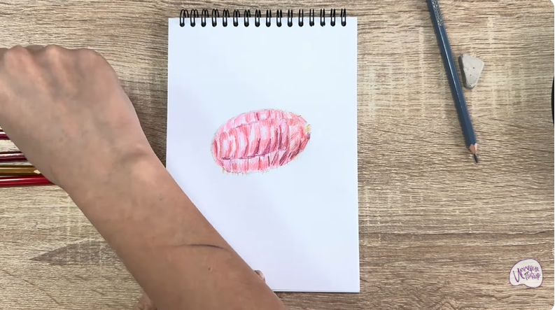 Рисуем Кошениль