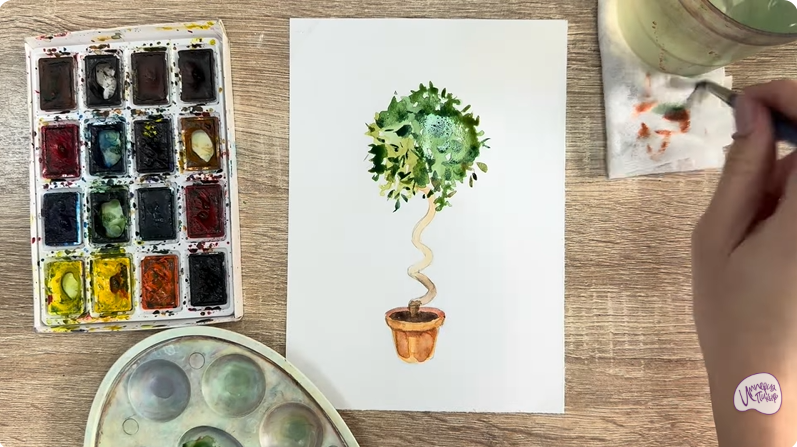 Рисуем Мирт обыкновенный