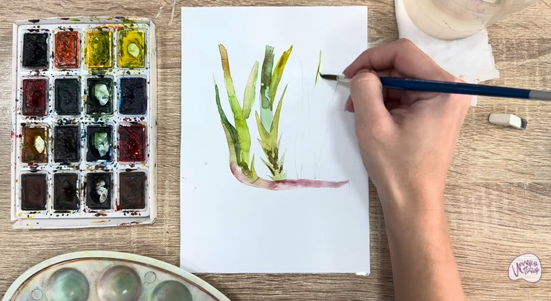 Рисуем Аир болотный