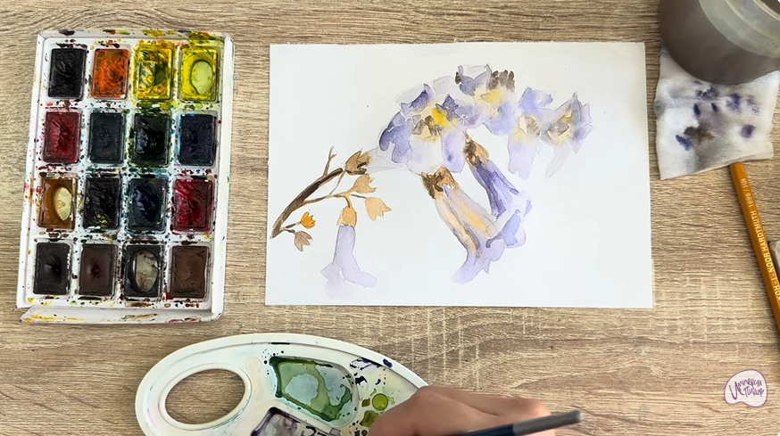 Рисуем Павловния