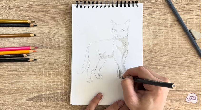Рисуем Кошка Бурмилла