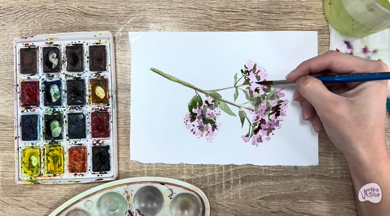 Рисуем Душица