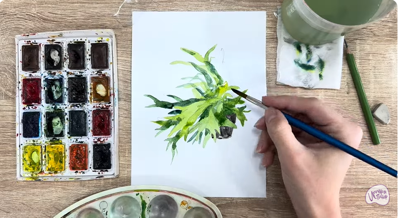 Рисуем Платицериум в горшке