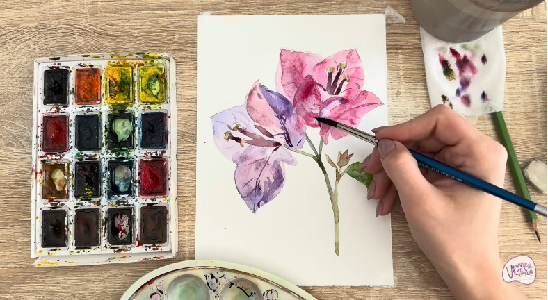 Рисуем Бугенвиллея