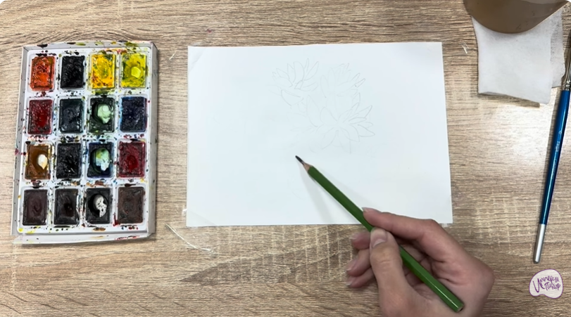 Рисуем Очиток