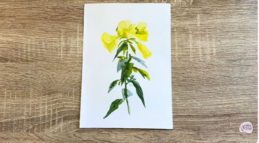 Рисуем Энотера Рисуем Энотера