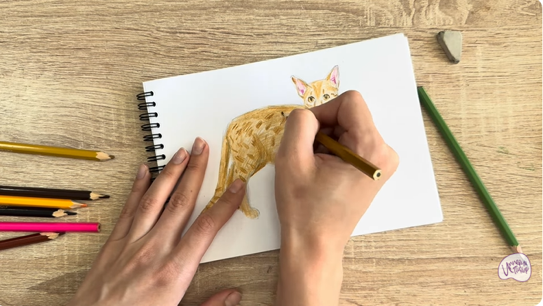 Рисуем Кот породы Оцикет