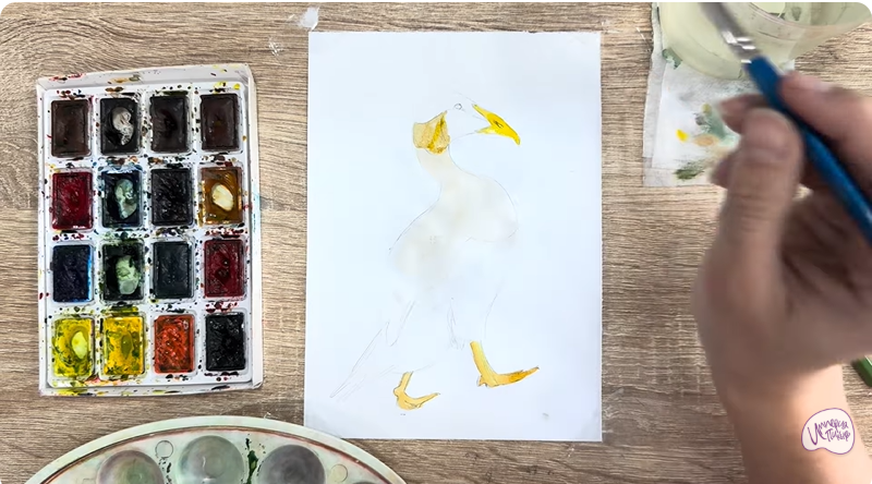 Рисуем Обыкновенная гага