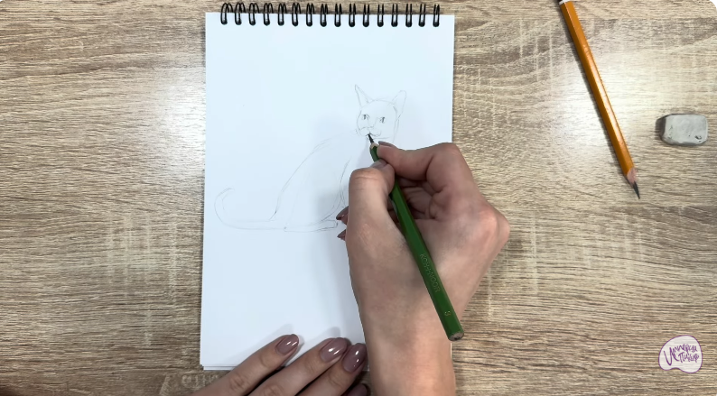 Рисуем Кот породы "Корат"