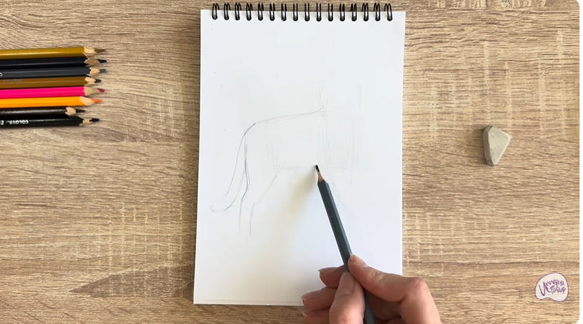 Рисуем Кошка Бурмилла