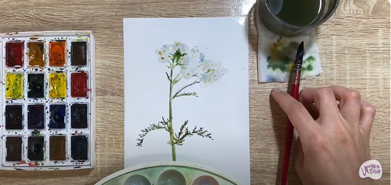 Рисуем Тысячелистник