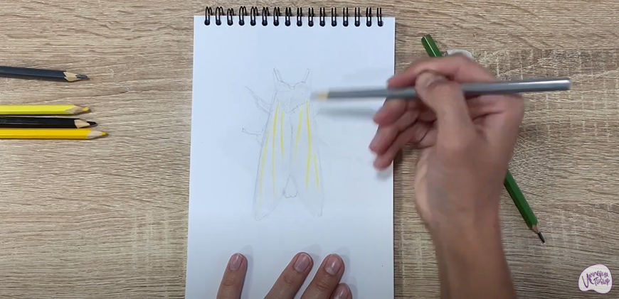 Рисуем Хохлатка