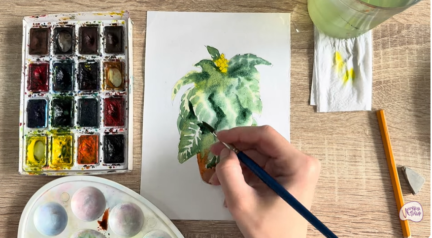 Рисуем Афеландра в горшке
