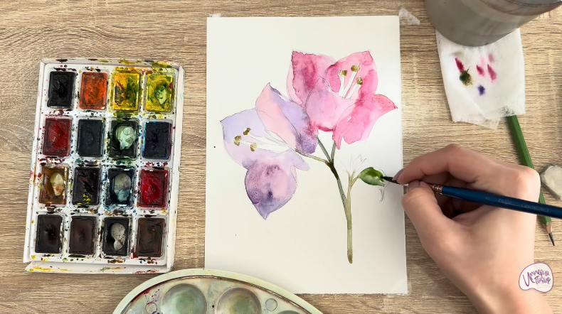 Рисуем Бугенвиллея