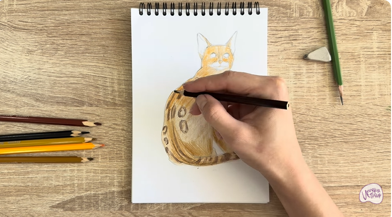 Рисуем Кошка Тойгер