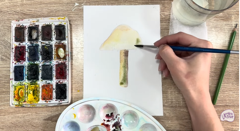 Рисуем Колпак кольчатый