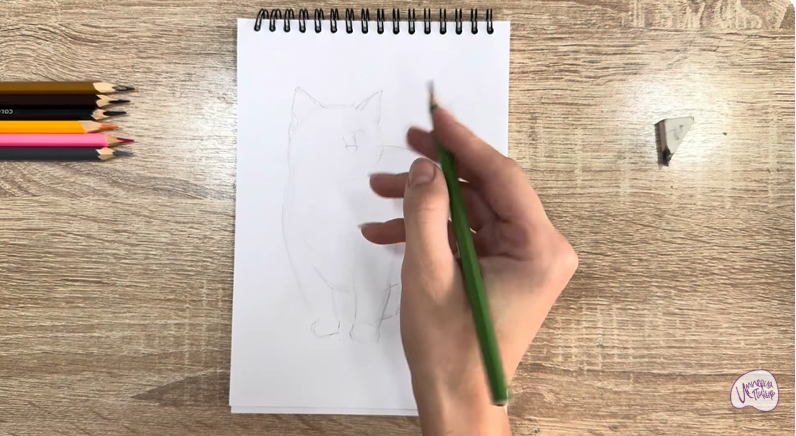 Рисуем Кошка породы "Манчкин"