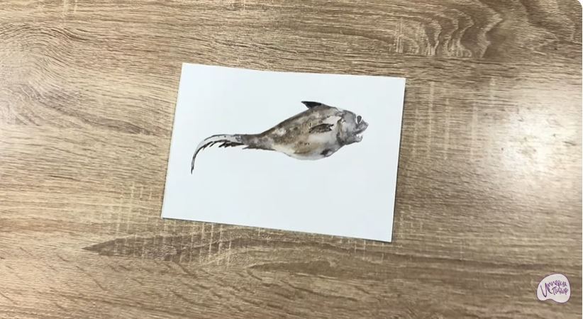 Рисуем Макрурус Рисуем Макрурус