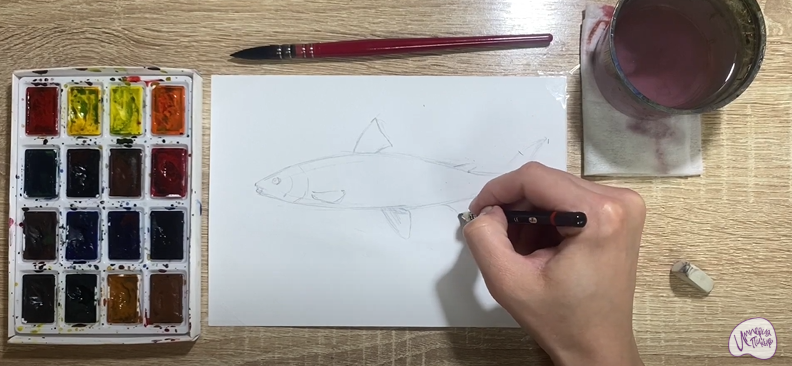 Рисуем Байкальский омуль