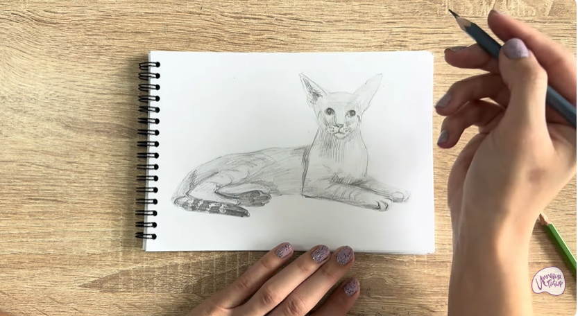 Рисуем Ориентальная кошка