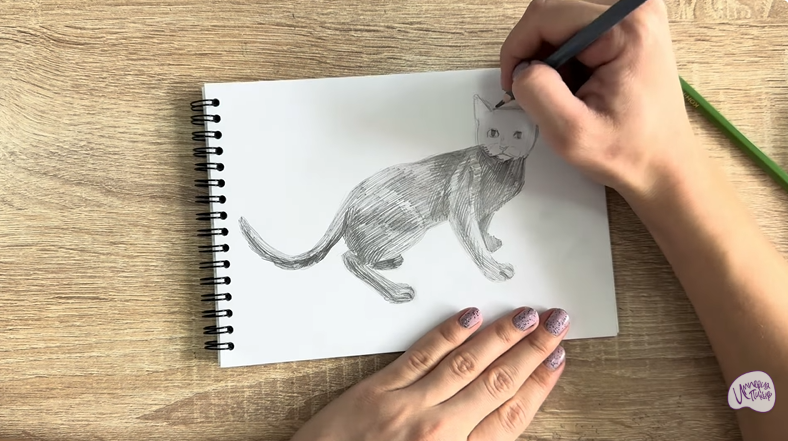 Рисуем Бомбейская кошка