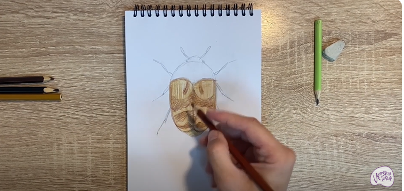 Рисуем Жук капровый