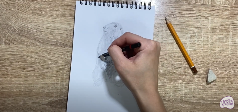 Рисуем Суслик