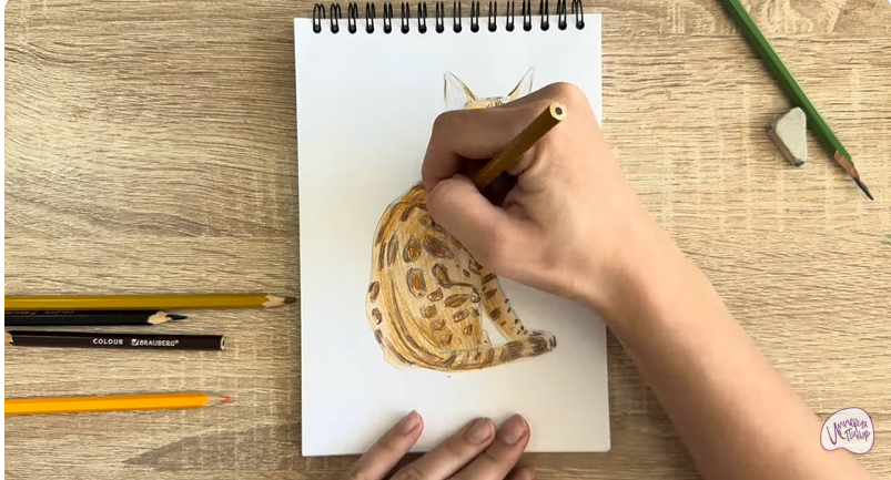 Рисуем Кошка Тойгер