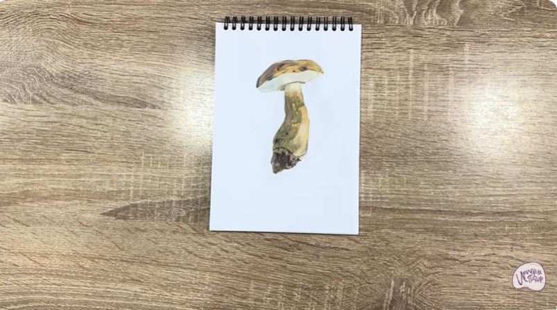 Рисуем Жёлчный гриб