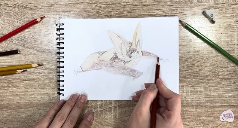 Рисуем Бурый ушан