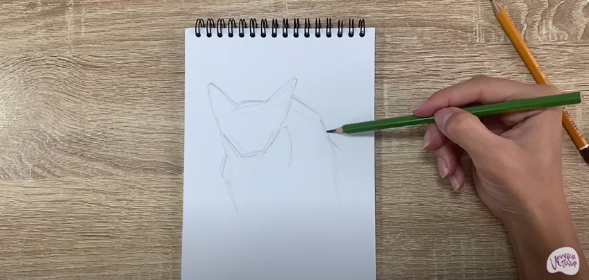 Рисуем Балинезийская кошка