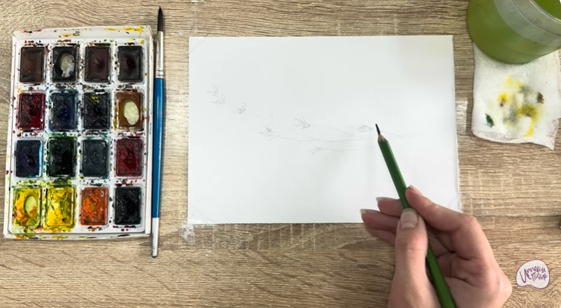 Рисуем Тимьян