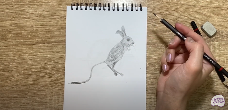 Рисуем Тушканчик