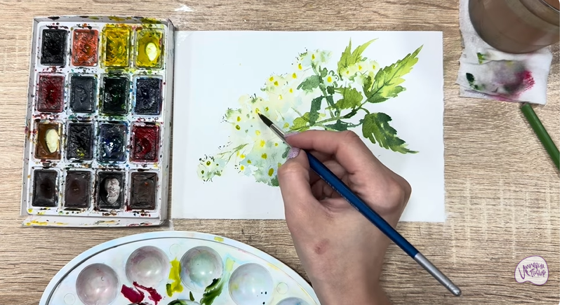 Рисуем Таволга