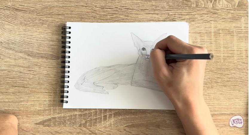 Рисуем Ориентальная кошка