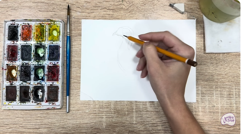 Рисуем Краснозобая казарка