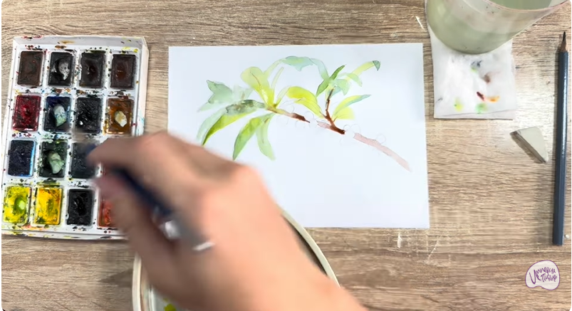 Рисуем Волчья ягода