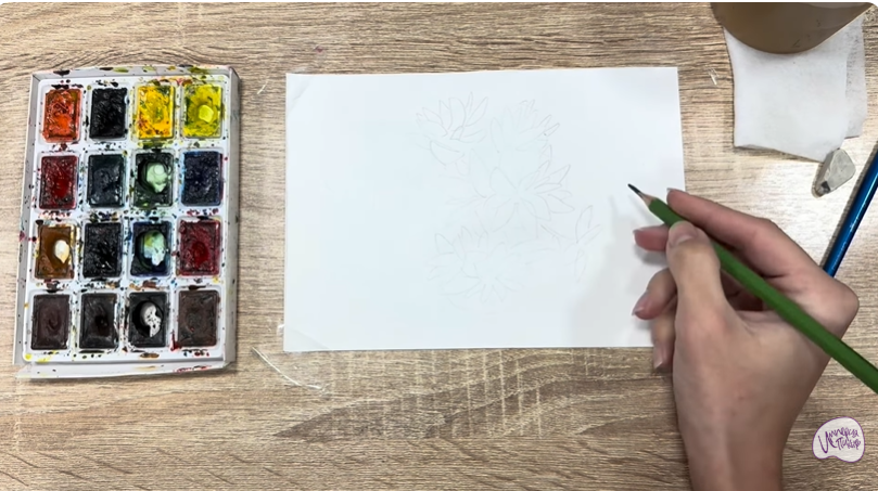 Рисуем Очиток