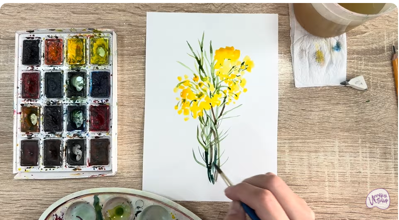 Рисуем Бессмертник