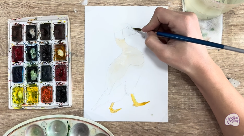 Рисуем Обыкновенная гага