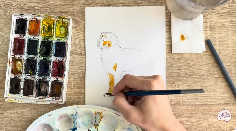 Рисуем Собака породы Бернский зенненхунд