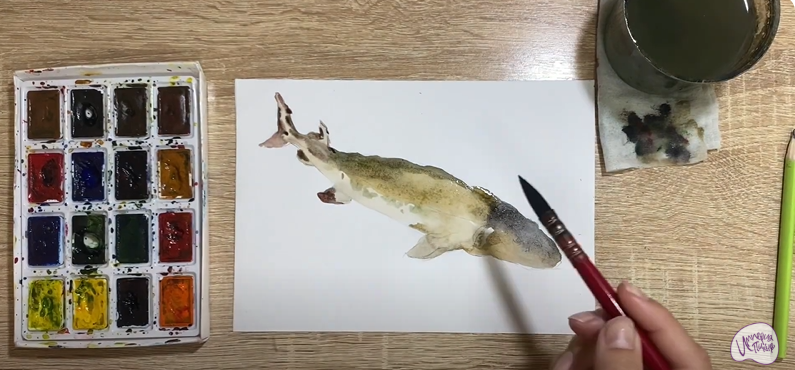 Рисуем Стерлядь