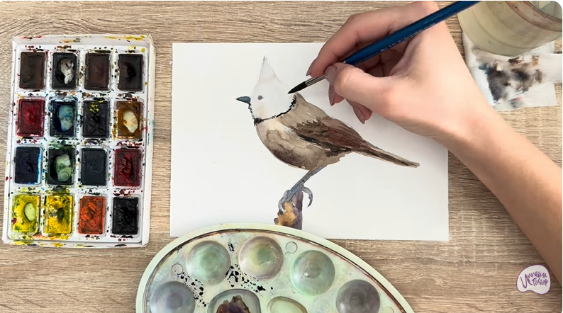 Рисуем Хохлатая синица