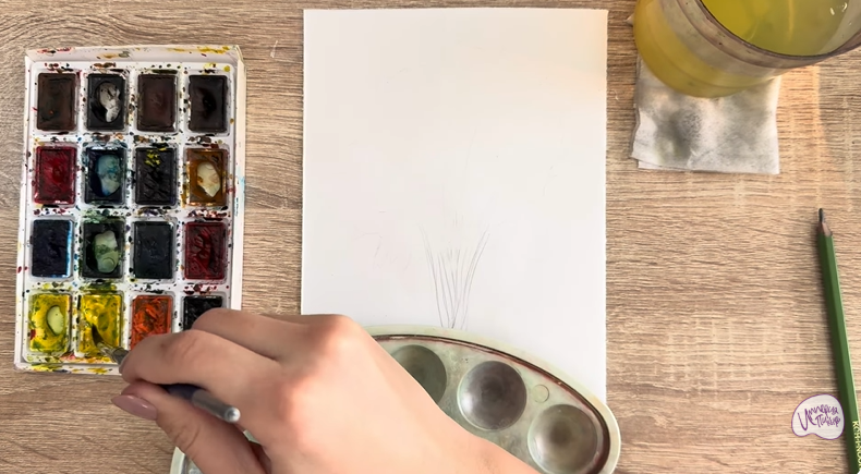 Рисуем Багрянник японский