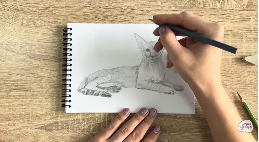 Рисуем Ориентальная кошка