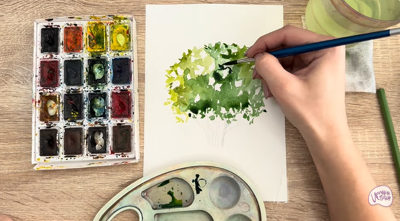 Рисуем Саженец бирючины