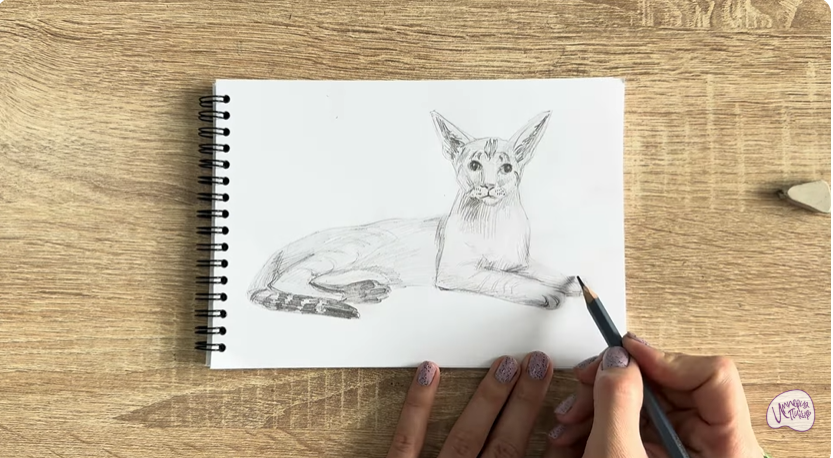 Рисуем Ориентальная кошка