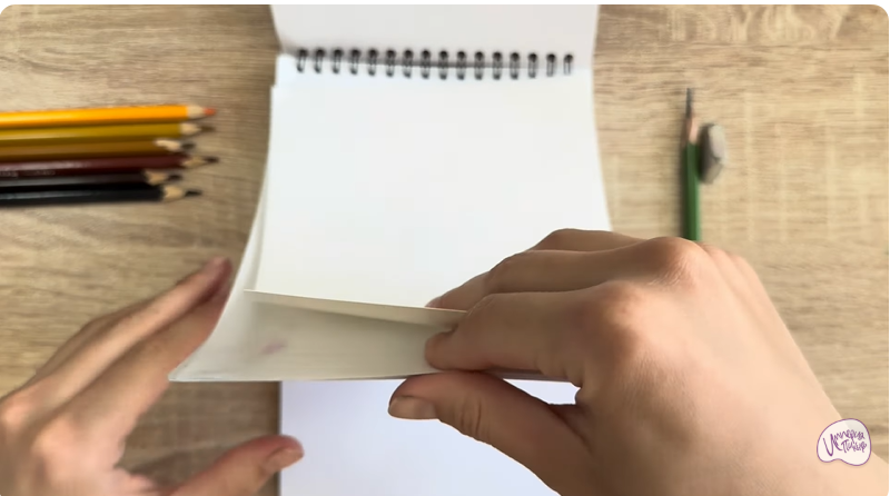 Рисуем Кошка Тойгер