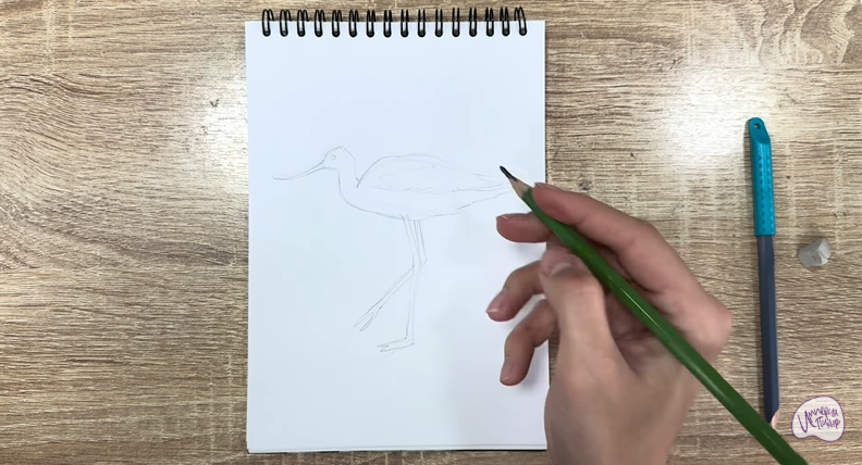 Рисуем Шилоклювка